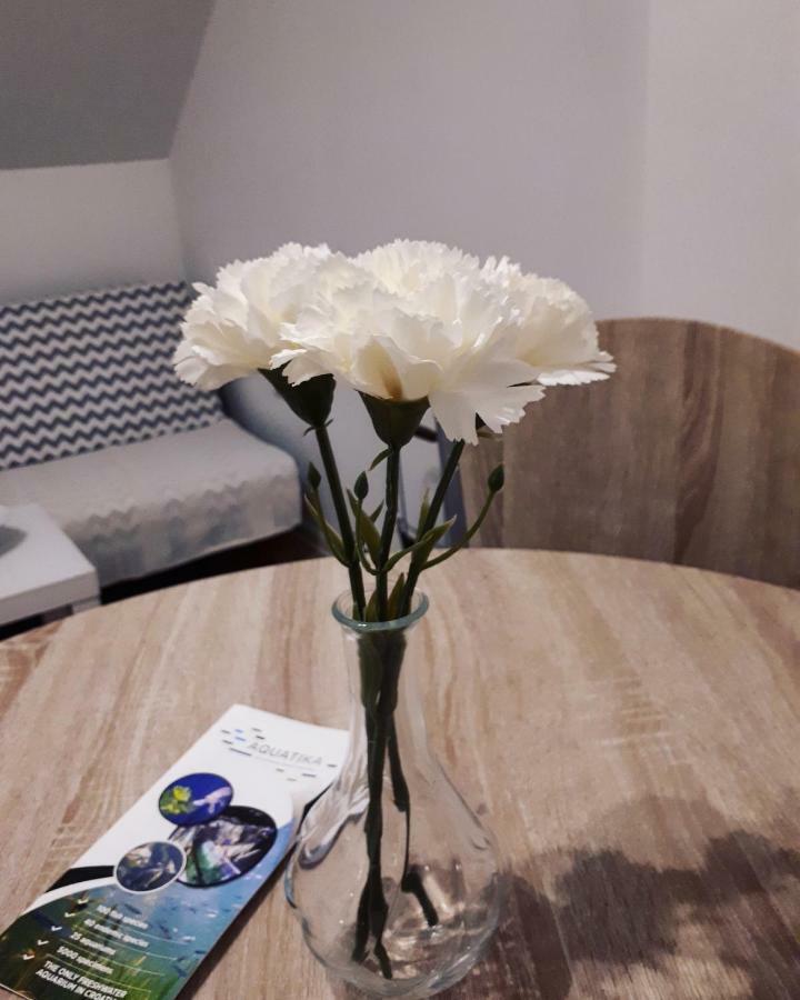 Apartman Lena Tusilovic Екстер'єр фото